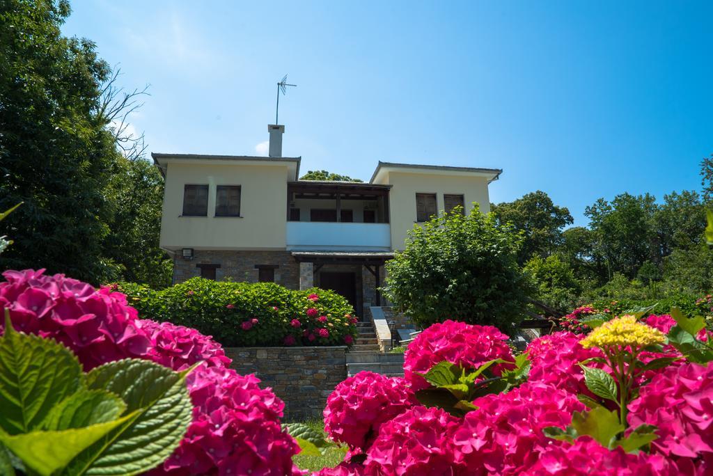 Luxury Villa With Pool In Цагарада Экстерьер фото